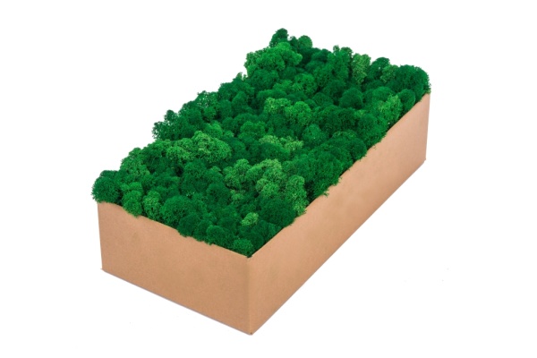 Purified Reindeer Moss Apple – Medium Green 4kg FINNISH